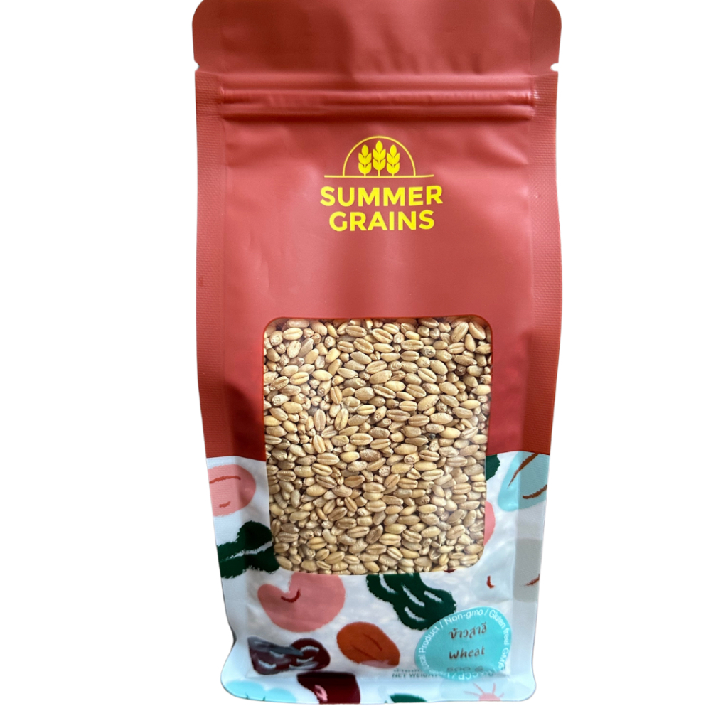 ข้าวสาลีเต็มเมล็ด Whole Grains NON-GMO 500-1000g จาก SummerGrains