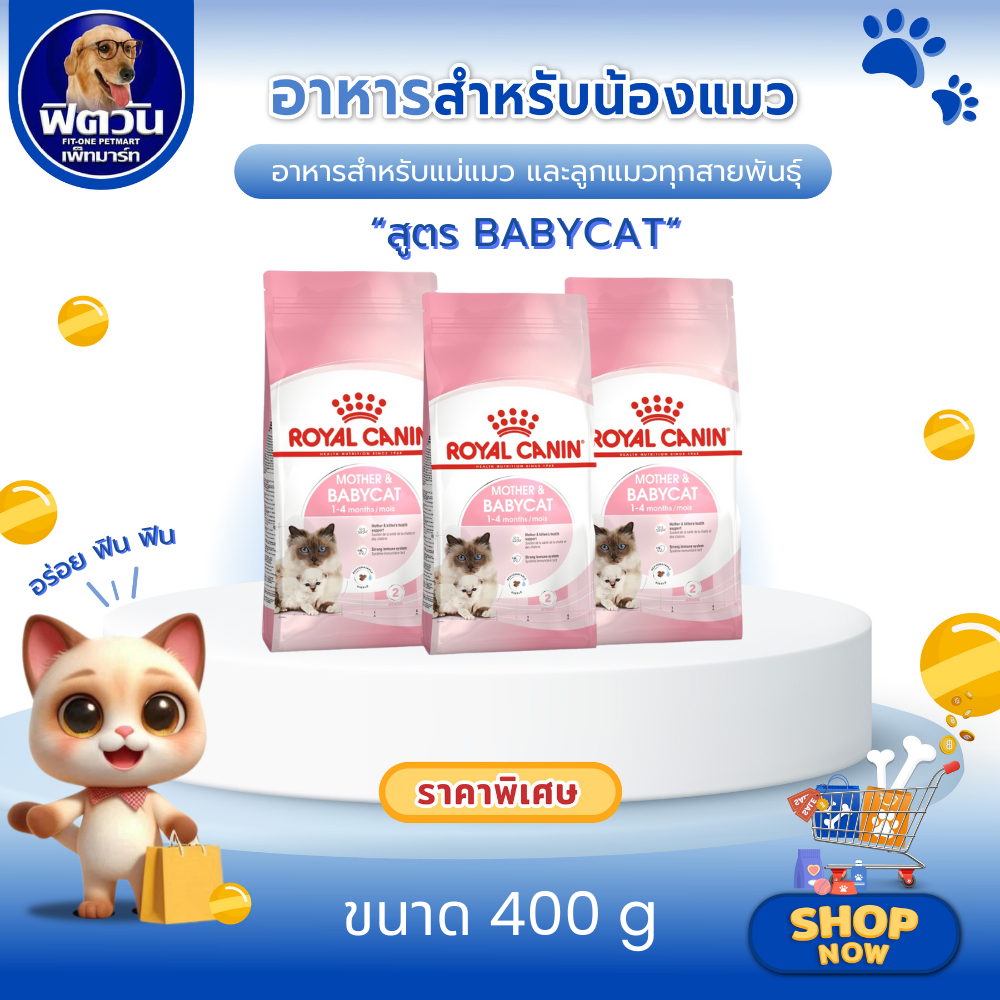Royal Canin Mother & Babycat อาหารเม็ด สำหรับแม่แมวและลูกแมว ขนาด 4 Kg