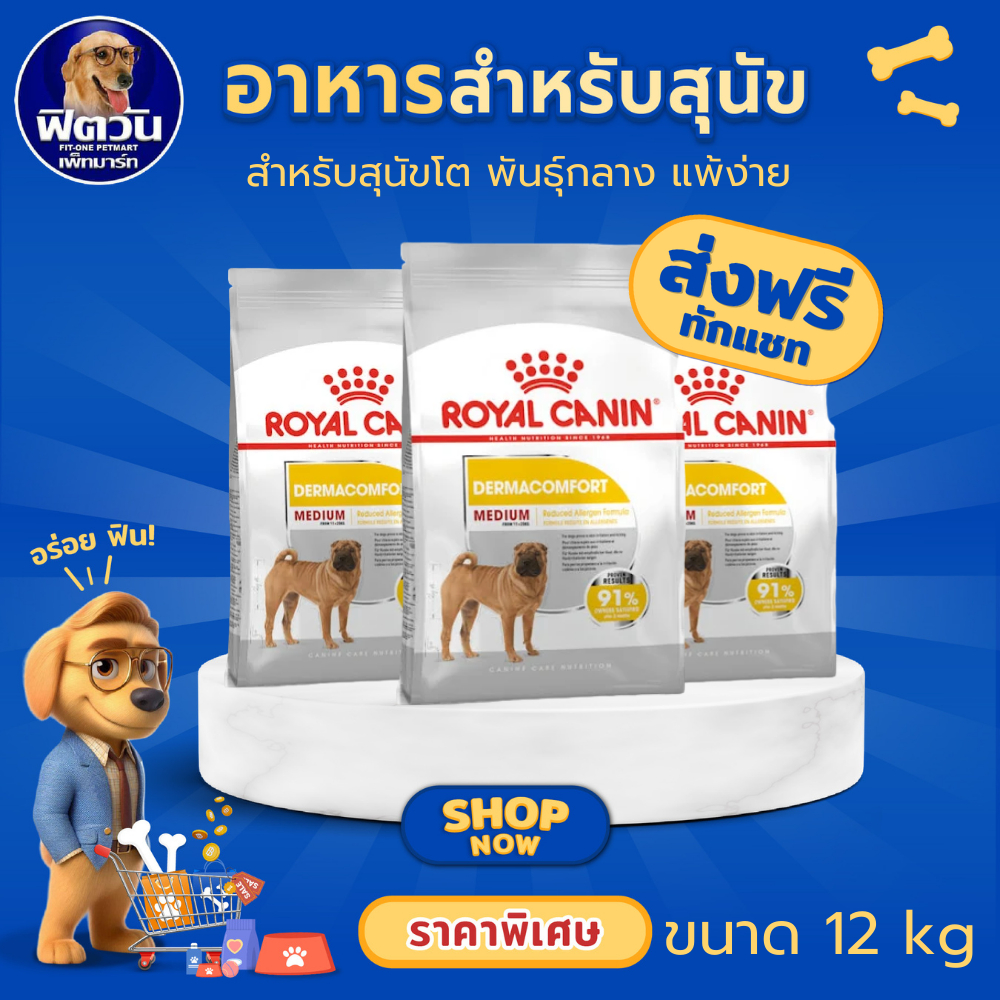 อาหารสุนัขพันธุ์กลาง ROYAL CANIN Medium Dermacomfort 12 Kg{อาหารสุนัขเม็ด}