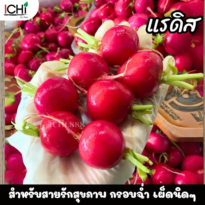 เรดิส รับประกันความสด