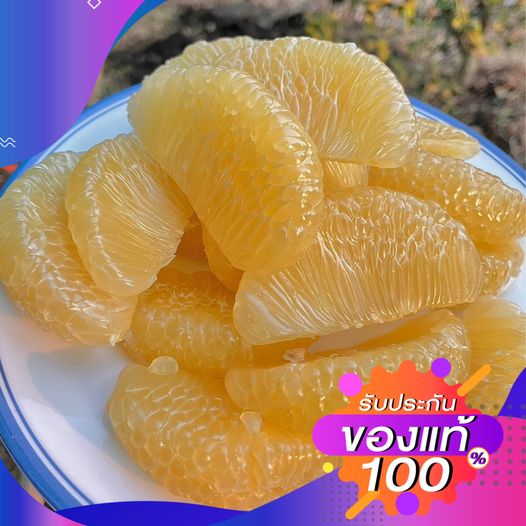 ส่งฟรี [ยกลัง 8 ลูก] ส้มโอพันธุ์ขาวน้ำผึ้ง เนื้อหวานแก่จัด ตัดสดจากสวน ไซส์ 1.1-1.5กิโล ต่อลูก