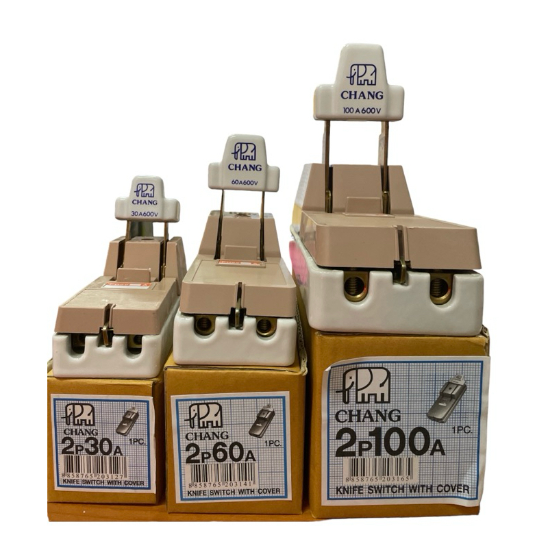 คัทเอ้าท์ ช้าง 2P 30A 60A