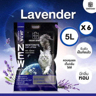 Meow Space ทรายแมวเบนโทไนท์ 5 ลิตร 6 ถุง รวม 30 ลิตร