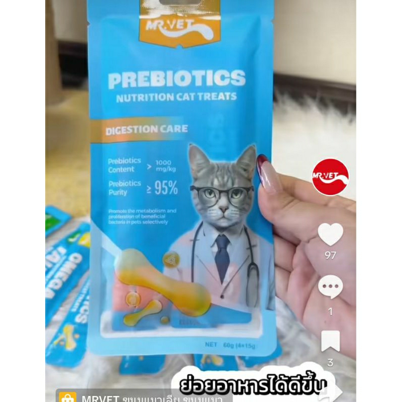 แมวเลีย Mr.Vet จากประเทศสิงคโปร์