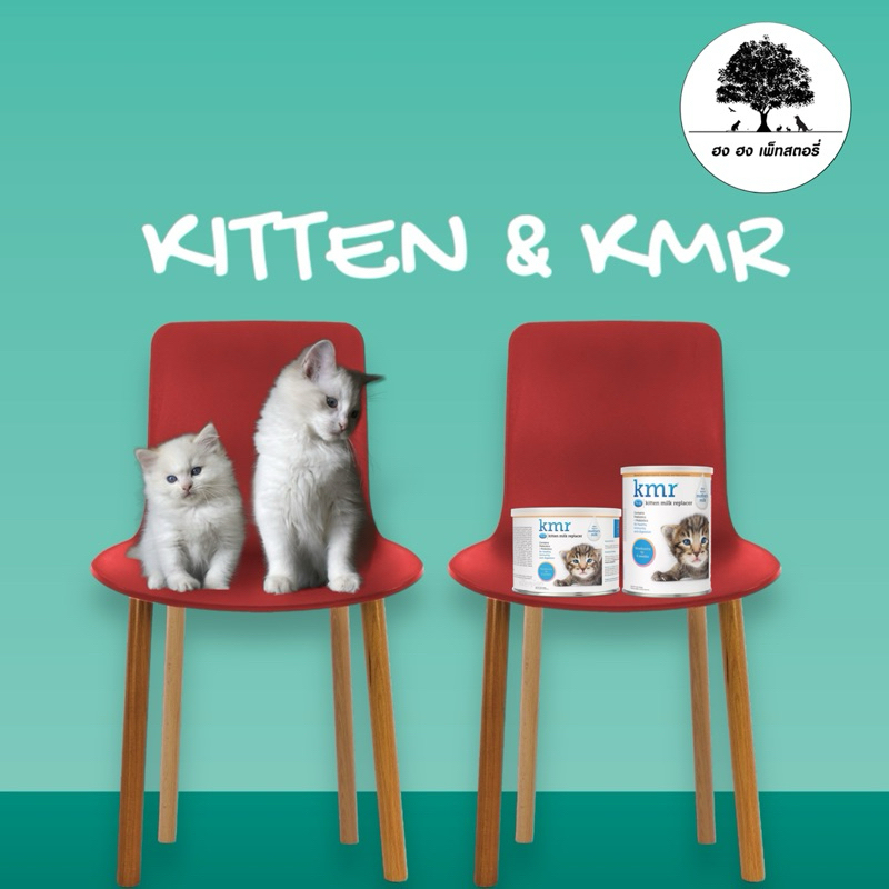KMR Powder เคเอ็มอาร์ Liquid นมแมว แบบผง แบบน้ำ