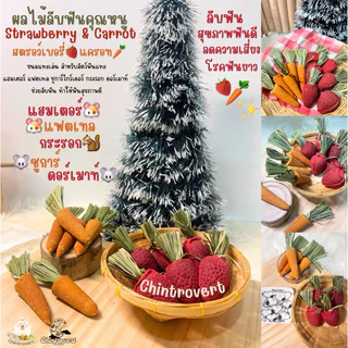 Chintrovert ✨|| สตรอว์เบอร์รี่ 🍓& แครอทลับฟัน🥕 || แฮมเตอร์ ดอร์เมาท์ ชินชิล่า และสัตว์ฟันแทะทุกชนิด