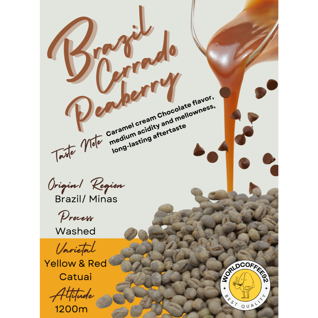 พร้อมส่ง เมล็ดกาแฟดิบ Brazil Cerrado Peaberry washed process 1kg/ เมล็ดกาแฟนอก/ เมล็ดกาแฟสารบราซิล
