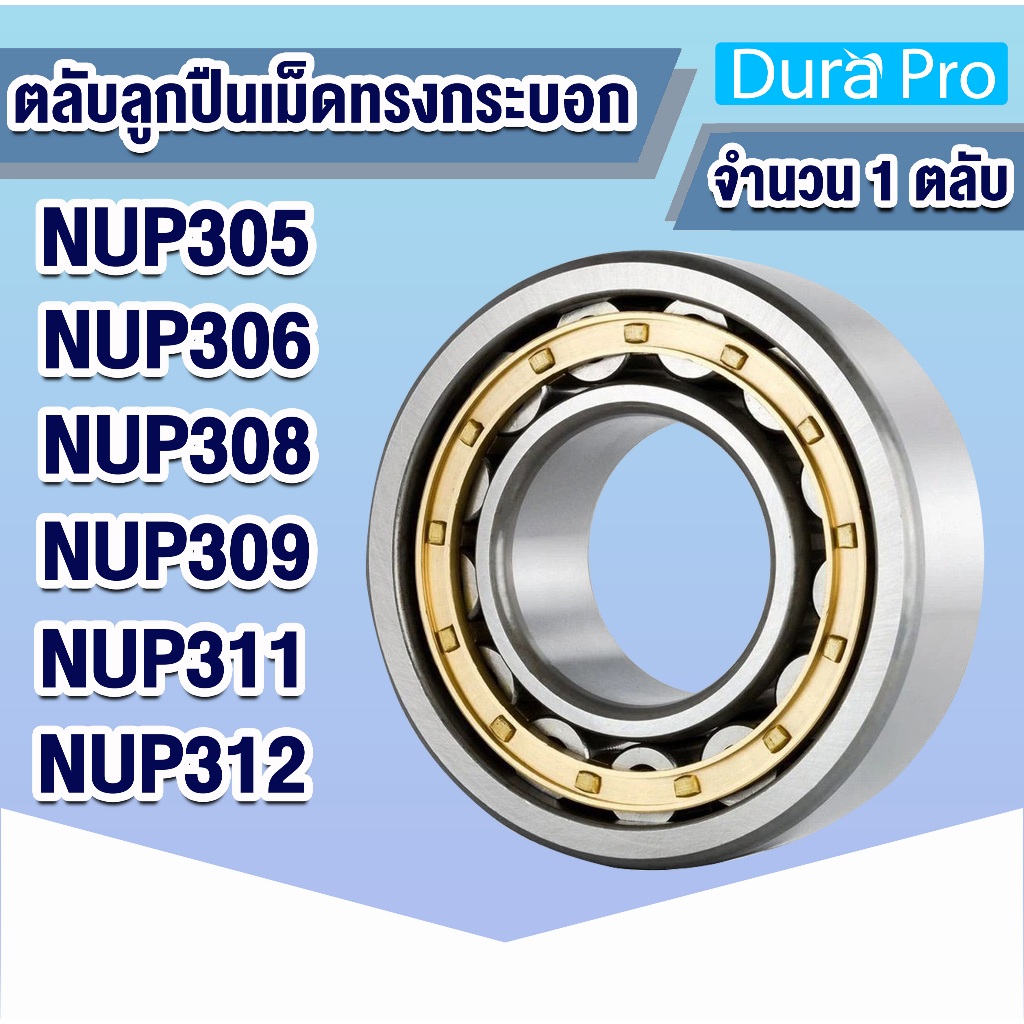 NUP305 NUP306 NUP308 NUP309 NUP311 ตลับลูกปืนเม็ดทรงกระบอก ( Cylindrical Roller Bearings ) โดย Dura Pro