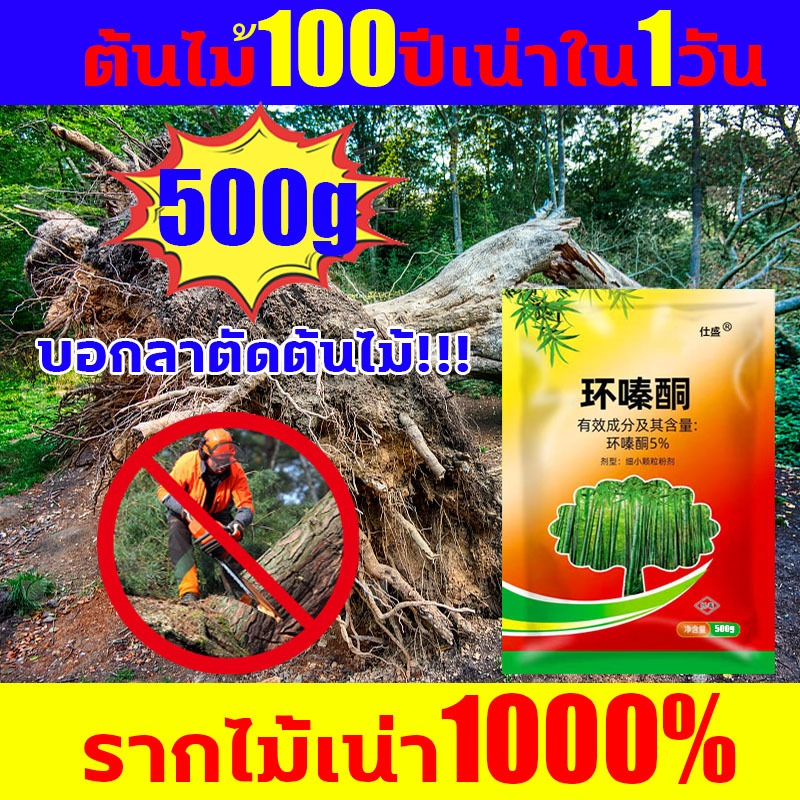 ต้นไม้100ปี เน่าใน1วัน ยาฆ่าต้นไม้ใหญ่ กำจัดต้นไม้และไผ่ให้หมดจด ยาฆ่าไม้ไผ่ รากเน่า100%ยาฆ่าต้นไม้