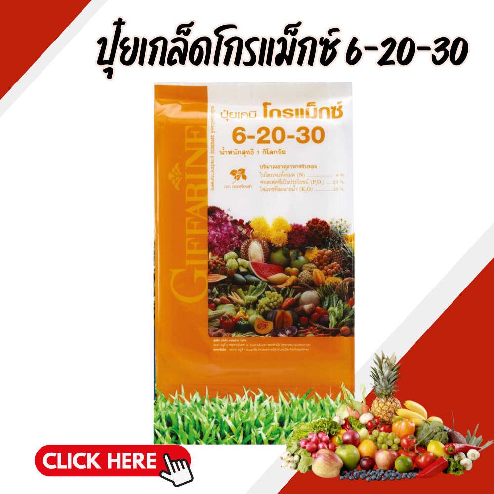 ปุ๋ย ปุ๋ยกิฟฟารีน เกล็ดโกรแม็กซ์ สูตร 6-20-30