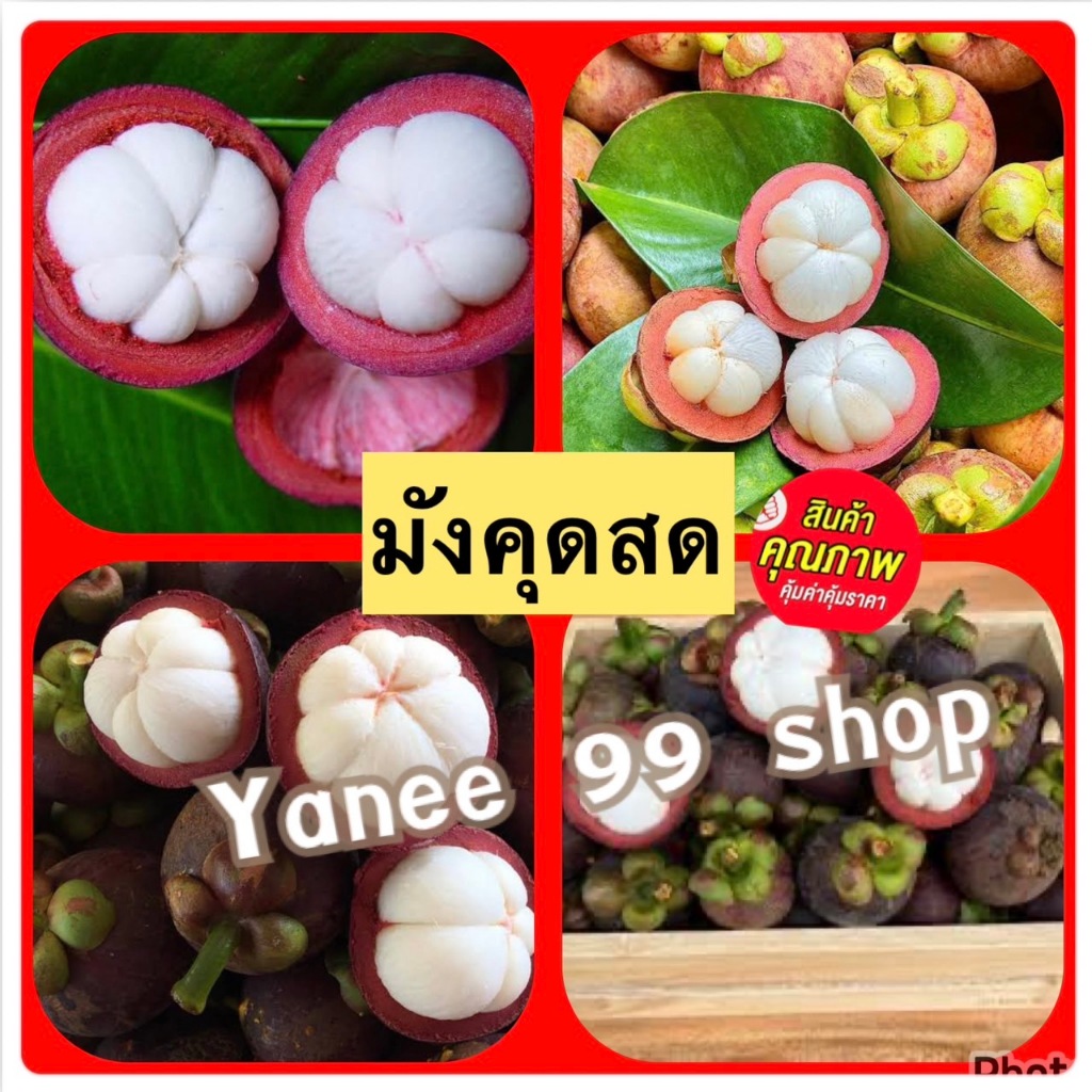 มังคุดสด ‼️จากสวนปลอดสารพิษ💥 1กิโล 💥 ส่งจากสวน สดทุกวัน