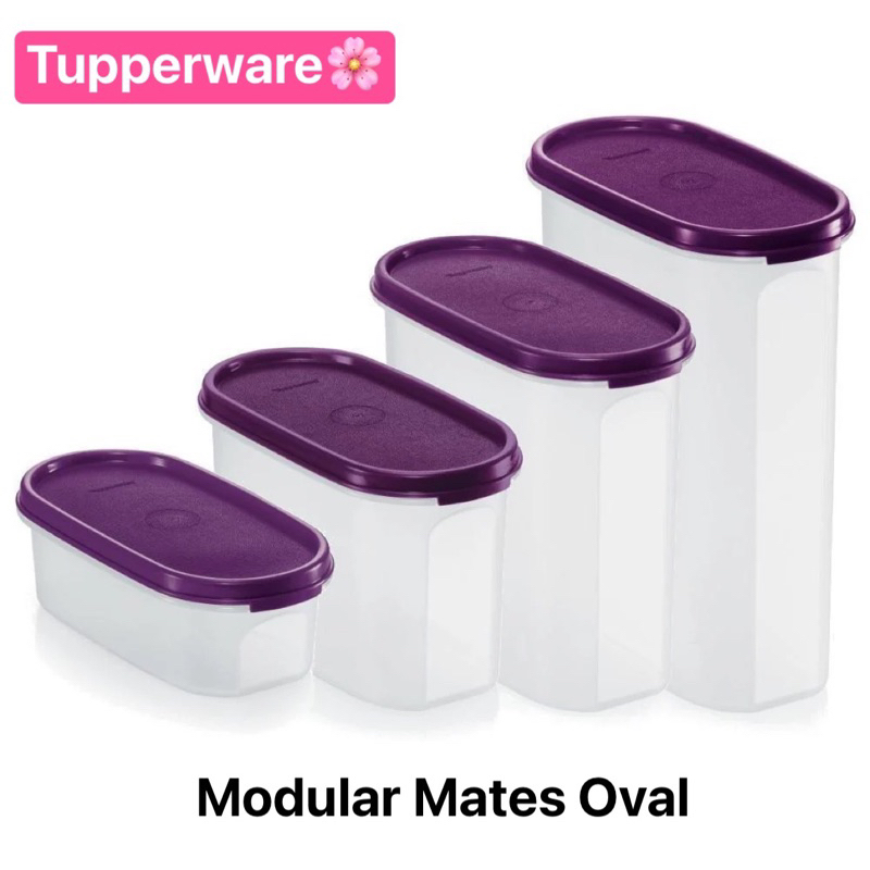 ภาชนะเก็บอาหารแห้ง Tupperware รุ่น Modular Mates Oval ขนาดต่างๆ สุ่มสี