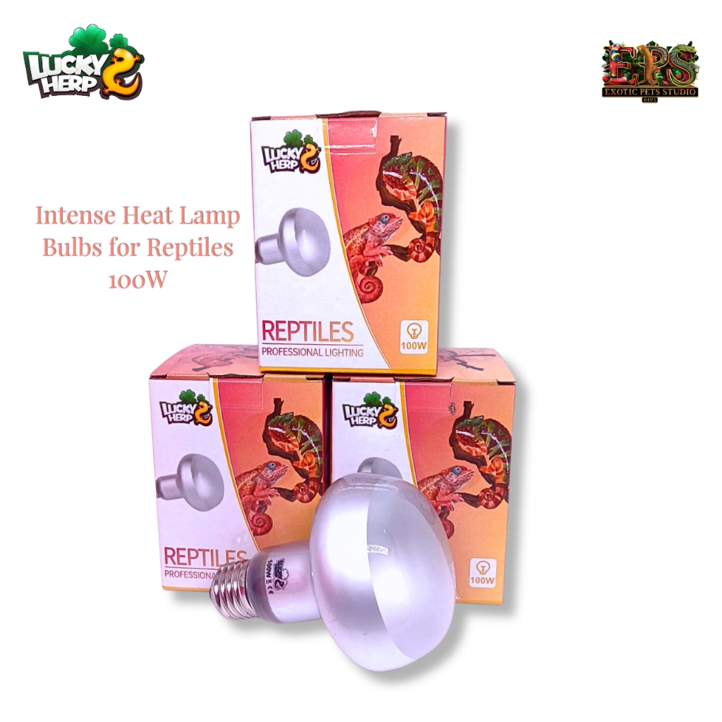 Lucky Herp หลอด UVA  ให้ความร้อน Intense Heat Lamp Bulbs for Reptiles หลอดไฟให้ความร้อน ( 50w/ 75w / 100w )
