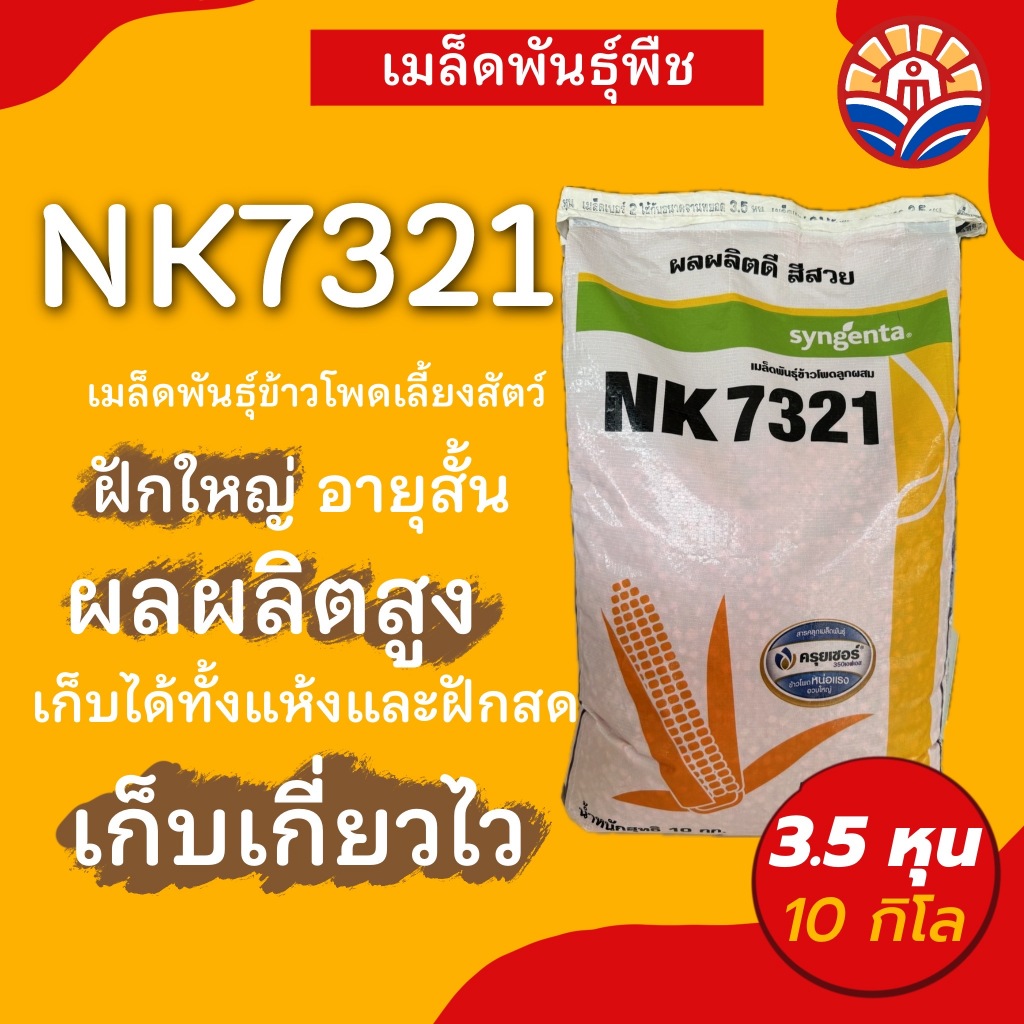 ส่งไว! ข้าวโพดเลี้ยงสัตว์ NK7321 10กิโล ใบตั้ง ปลูกถี่ได้ ให้ผลผลิตสูง ฝักมีความสม่ำเสมอมาก ปลูกในพื