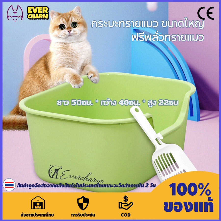 💸สินค้าลดราคา💸กระบะทรายแมว ขนาดใหญ่ ระบะทรายแบบจัมโบ้ พร้อมที่ตักทราย ห้องน้ำแมวใหญ่ ฟรีพลั่วทรายแมว