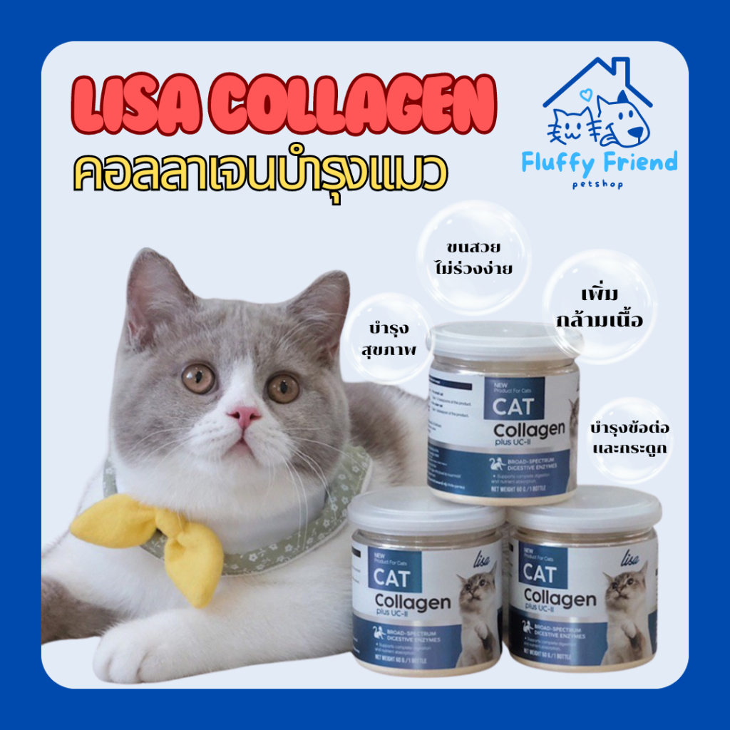 (พร้อมส่ง) Lisa Collagen ผงโปรตีนคอลลาเจนไข่เต่าลิซ่าคอลลาเจน ผงโปรตีนเเมวอ้วน สำหรับน้องแมว เกรดพรีเมี่ยม