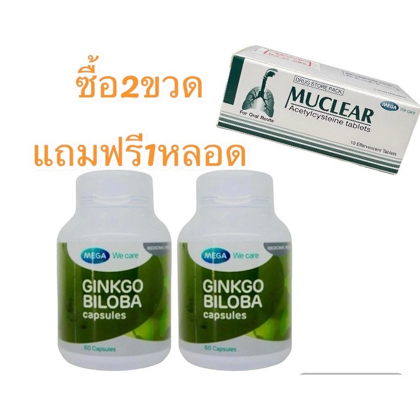 Mega We Care Ginkgo Biloba 60 เม็ด (1 กระปุก) เมก้า วี แคร์ สารสกัดจากใบแป๊ะก๊วย
