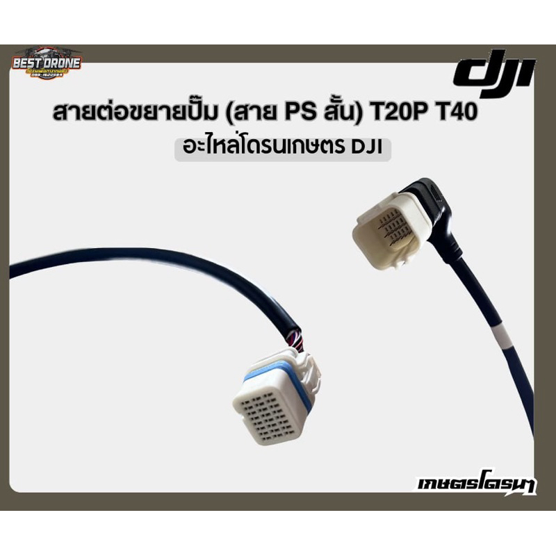 สายPS (สั้น) อย่างดี