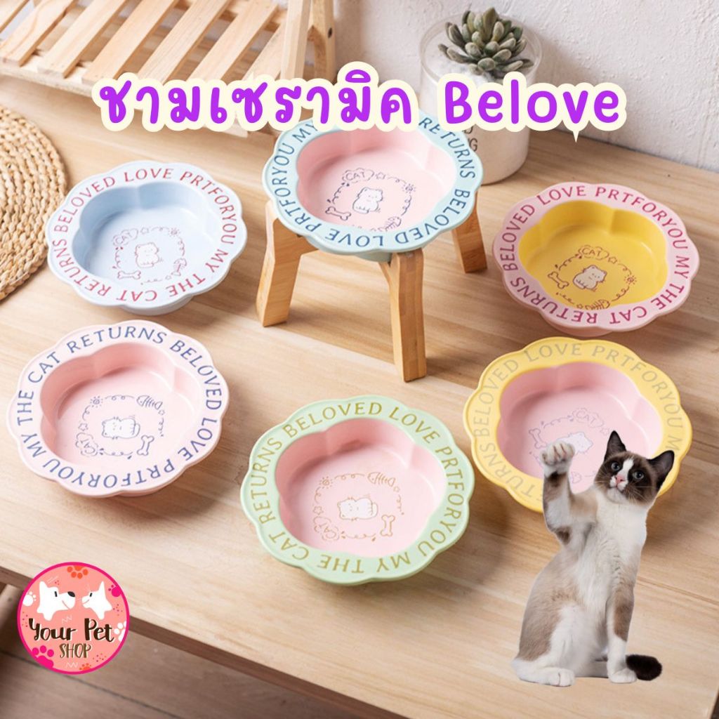 ชามเซรามิค Belove ชามแมว หมา สุนัข ฐานไม้ขายแยก เซรามิก  Bowl