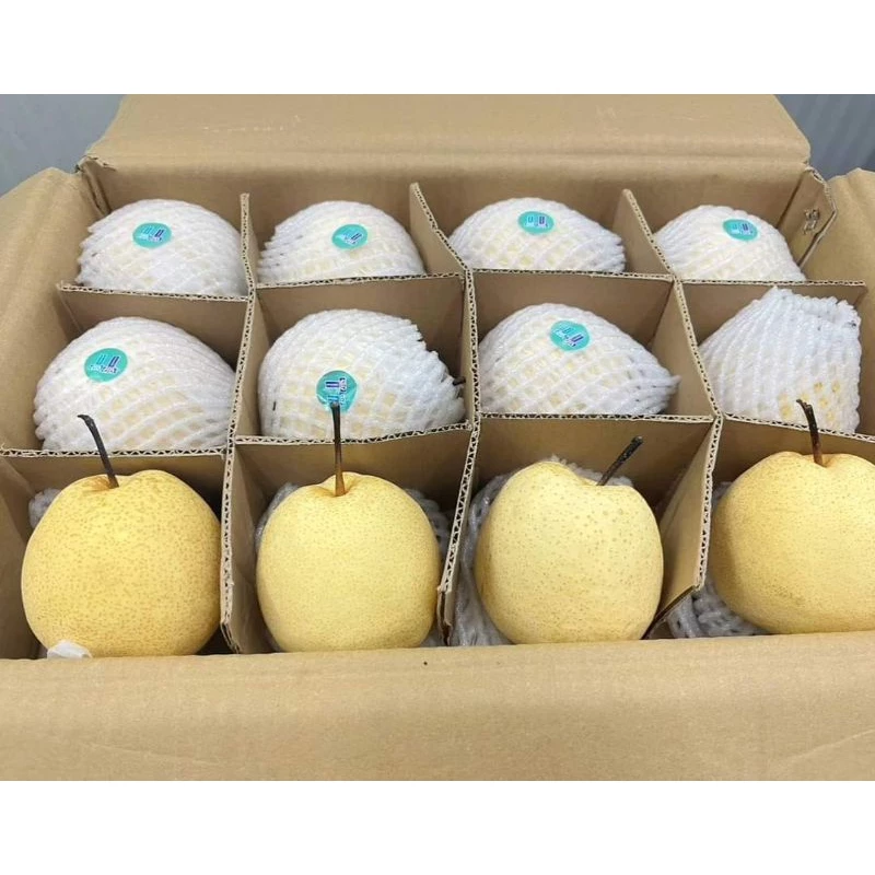 (1kg.)สาลี่น้ำผึ้ง ผลไม้มงคล หวาน กรอบ อร่อย แช่เย็นชื่นใจ
