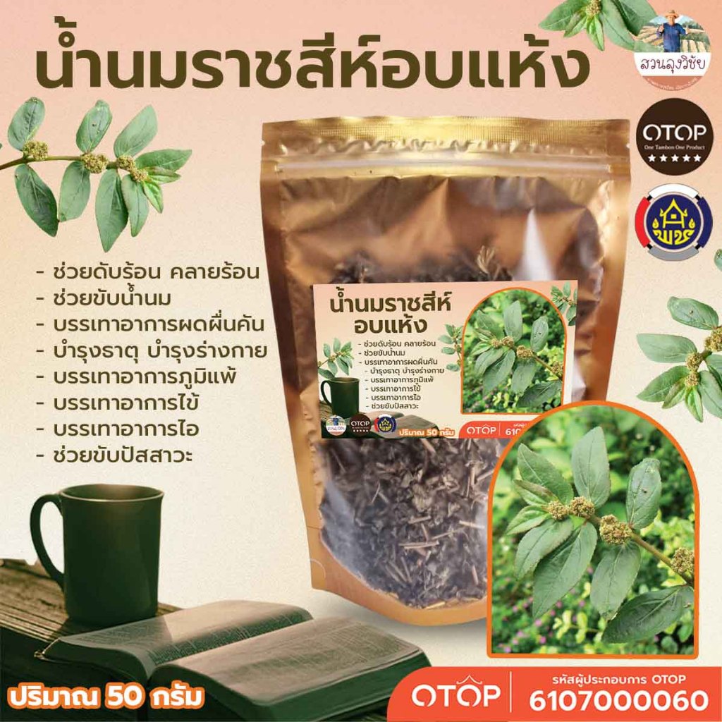 น้ำนมราชสีห์อบแห้ง Dried Garden spurge ต้มดื่มเพิ่มน้ำนม แก้เวียนศีรษะ​บ้านหมุน ขนาด 50 กรัม