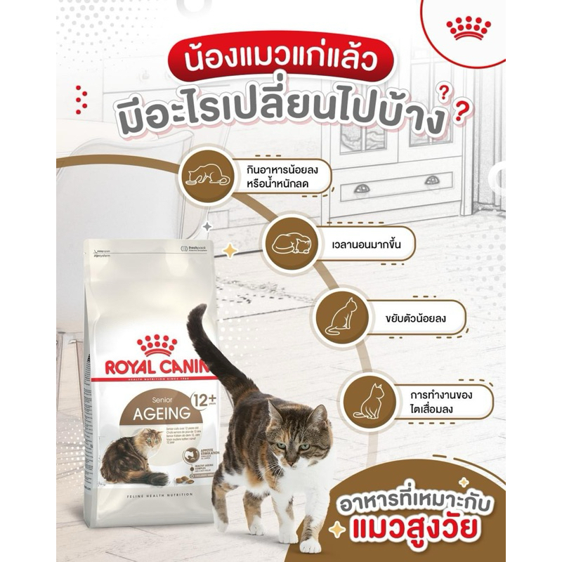 Royal canin Senior Ageing 12+ cat อาหารเพื่อแมวสูงวัย อายุ 12 ปี