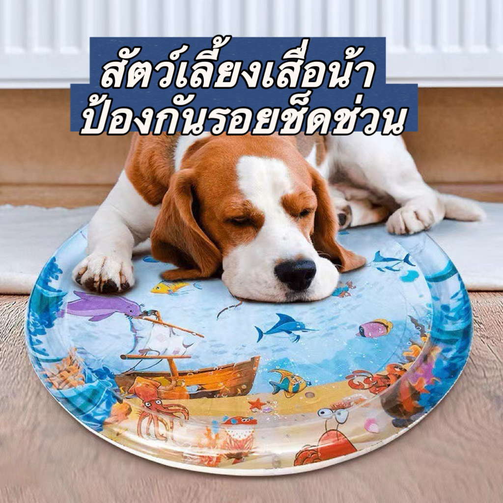 COD สัตว์เลี้ยงเสื่อน้ำ เตียงแมว พร้อมปูปลาดุ้กดิ้กในน้ำ ของเล่นแมว หนาขึ้น  เบาะนอนเย็น