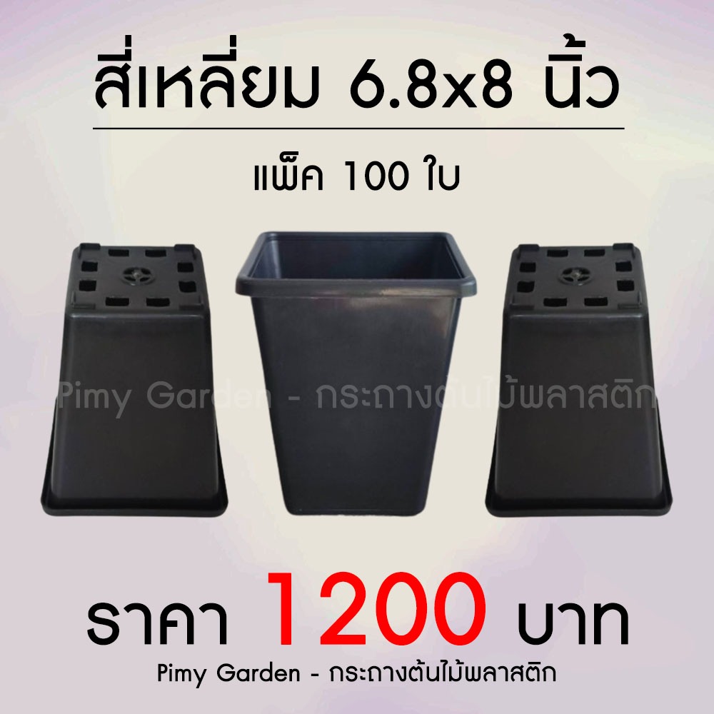 กระถางต้นไม้ ทรงสี่เหลี่ยม สูง 6.8x8 นิ้ว (1 แกลลอน) แพ็ค 100 ใบ