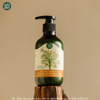 แชมพูสมุนไพรสด สูตรบำรุงและฟื้นฟูผมแห้งเสีย ผมเสีย (FOR NOURISHING AND RECOVERY DRY HAIR)มาบเอื้อง