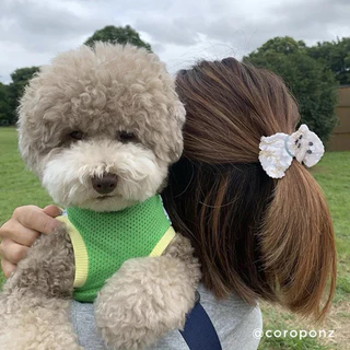 🐱พร้อมส่ง🐶 ♥️ส่งฟรีไม่ต้องใช้โค้ด♥️ Coucou Suzette Hair Claw ของแท้ 100% กิ๊บหนีบผม กิ๊บติดผม