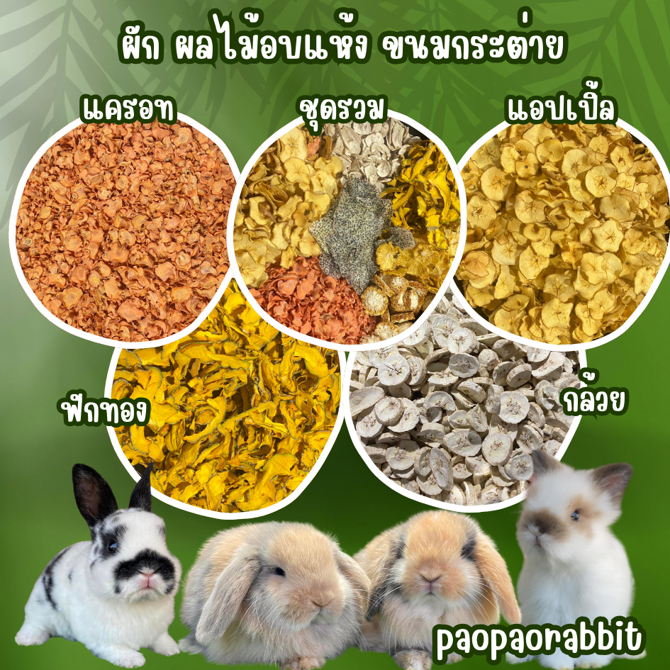ผักอบแห้ง ผลไม้อบแห้ง  ขนมสัตว์เลี้ยง ขนมกระต่าย 500กรัม และ 1กิโลกรัม