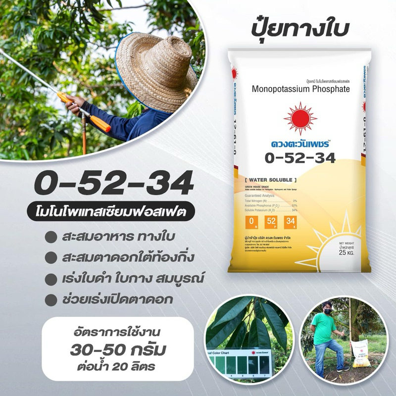 0-52-34 G-grade 25kg.ตราดวงตะวันเพชร สะสมอาหาร สะสมแป้งและน้ำตาลไปยังท้องกิ่ง ใช้สำหรับพืชเท่านั้น