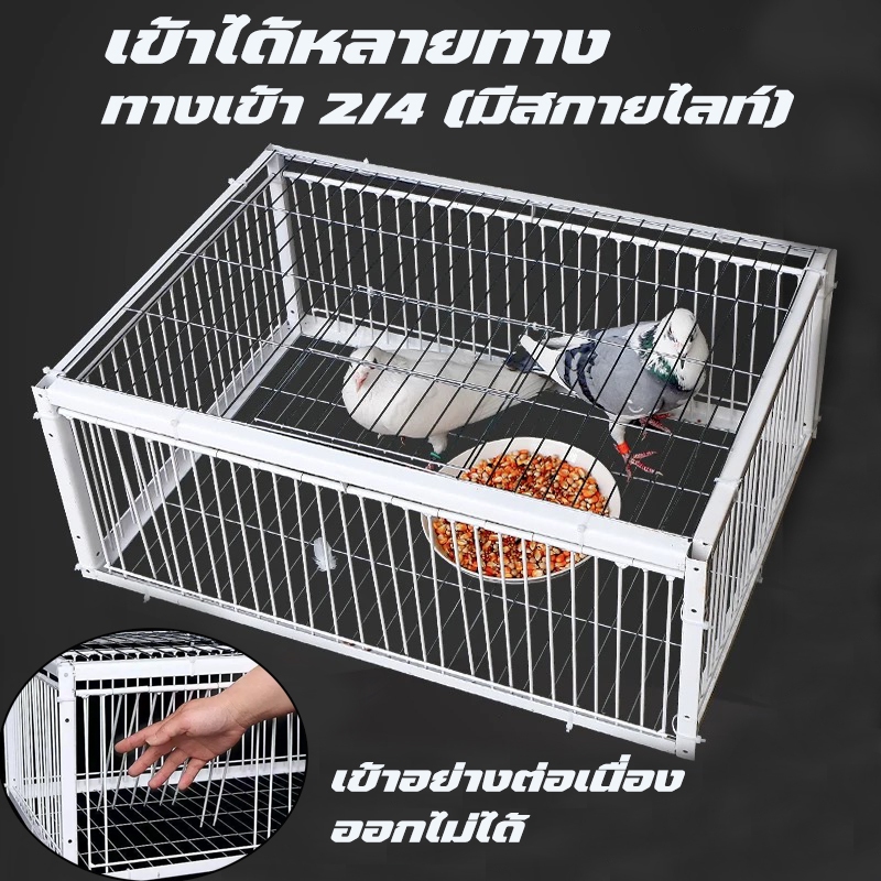 กรงดักนก กรงนกพิราบ ช่องว่าง 2ซม พร้อมสกายไลท์ ที่ดักนก กรงต่อนก กรงนกทางเดียว