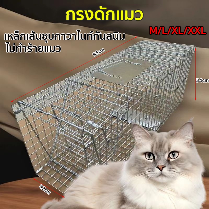กรงดักแมว กับดักแมว (ไซส์ M-2XL) เหล็กเส้นชุบกาวาไนท์กันสนิม ไม่ทําร้ายแมว ทนทาน ทนแรงกระชาก
