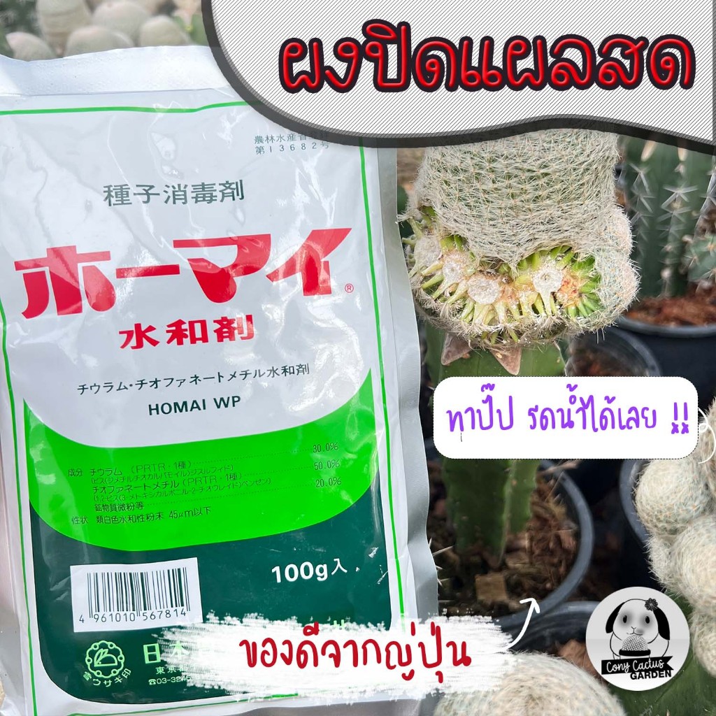 ผงปิดแผลสดต้นไม้ทำให้แผลแห้งไว รดน้ำโดนแผลได้หลังใช้1วัน เพิ่มอัตราการชำหน่อของไม้ #ยาญี่ปุ่น #ผงเร่งราก