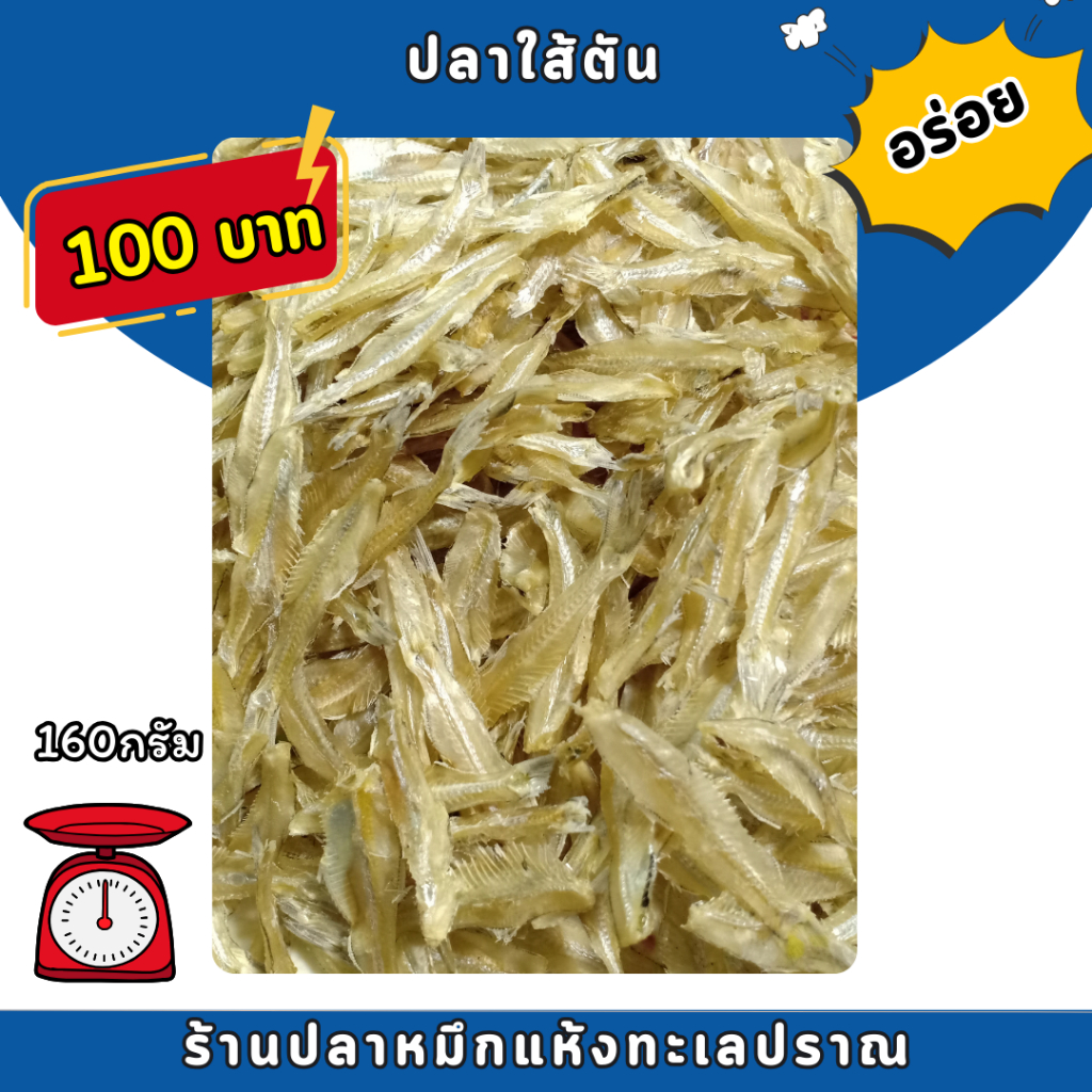 ปลาตัดหัว ปลาใส้ตัน ปลาปะกัง ปลาแห้ง (เค็มน้อย)