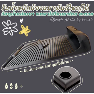 พร้อมส่ง ถาดฉี่สุนัข นวัตกรรมใหม่ ไม่ต้องใช้แผ่นซับอีกต่อไป itemใหม่ ที่ไม่ควรพลาด