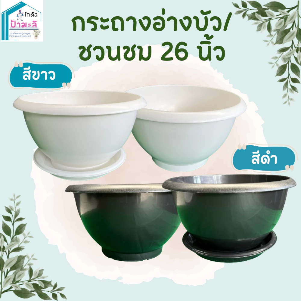อ่างบัว กระถางชวนชม ขนาด 26 นิ้ว