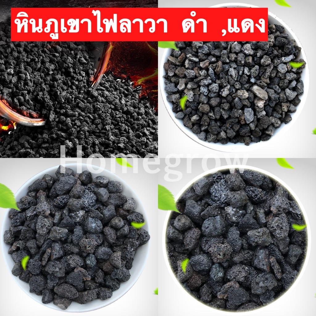 หินภูเขาไฟลาวา หินลาวาดำ หินลาวาแดง (Lava Stone) | ผสมดินปลูก โรยหน้ากระถาง ใส่บ่อปลา