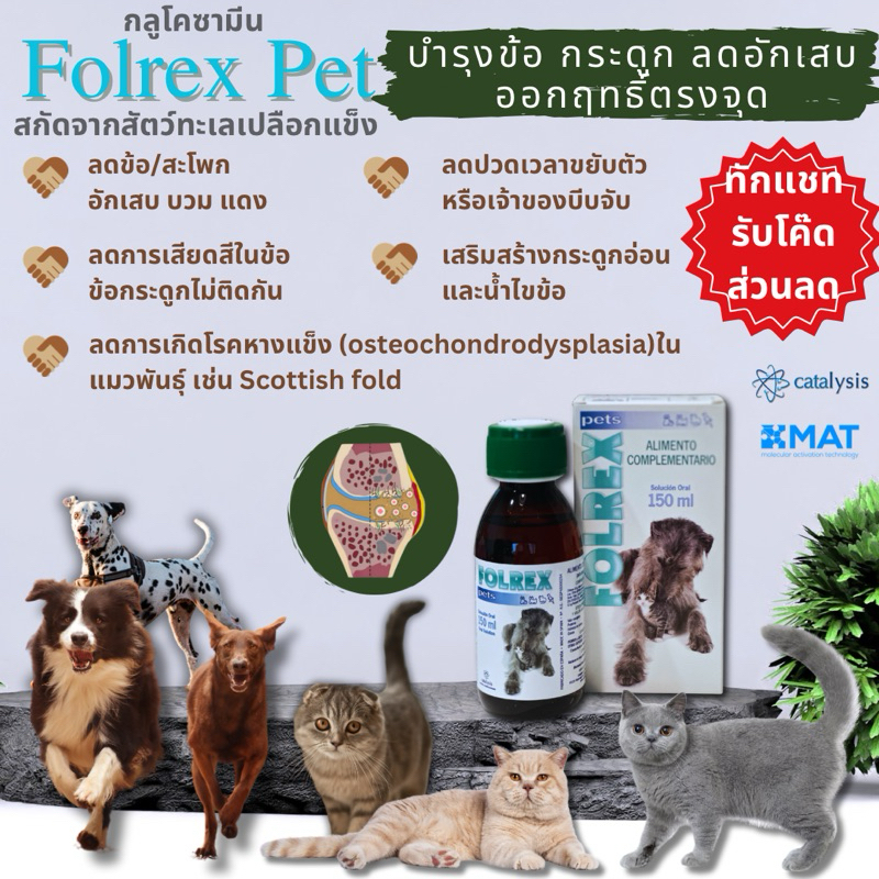 ของแท้ ส่งฟรี ทักแชทรับส่วนลด  Folrex pet วิตามินสำหรับสัตว์เลี้ยง เหงือกอักเสบ ข้ออักเสบ ลดปวดไม่มีผลต่อตับไต