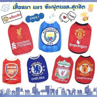 เสื้อยืดบอล น้องหมาน้องแมว สโมสรชั้นนำ พร้อมส่ง..จ้า กรุณาอ่…