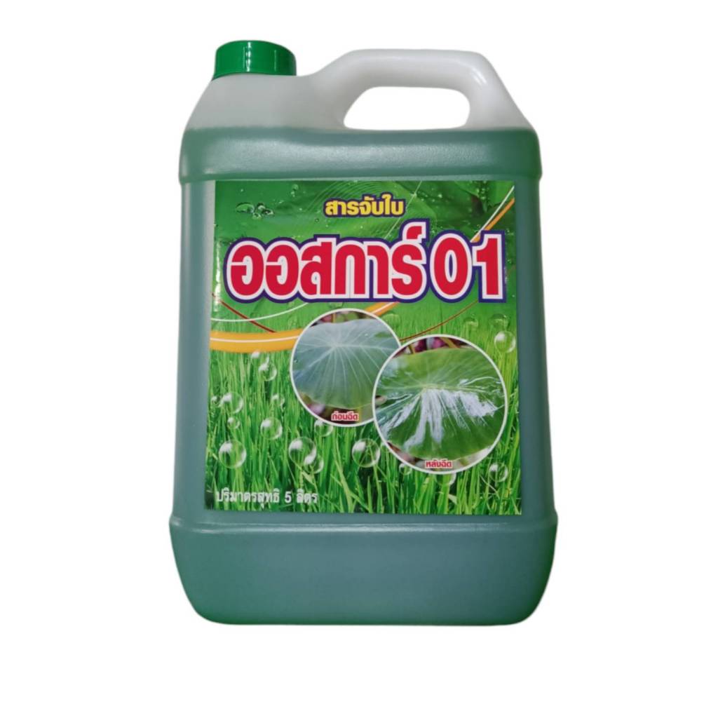 ออสการ์ ( ขนาด 5 ลิตร) เป็นสารจับใบ ช่วยเสริมประสิทธิทางใบ ช่วยแพร่กระจาย รวดเร็ว แทรกซึมได้ดีขึ้น