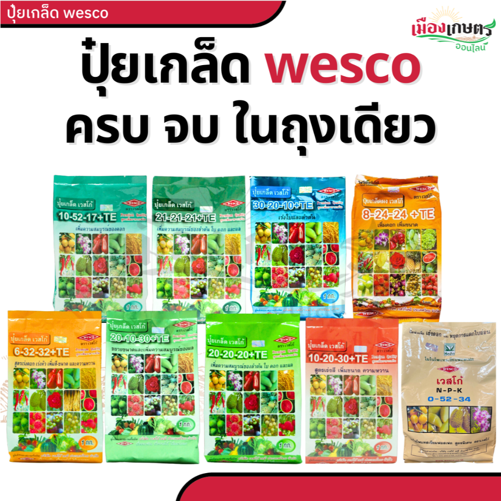ปุ๋ย ปุ๋ยเกล็ด เวสโก้ ปุ๋ย เกล็ด 6 32 32 20 20 20 21 21 21 20 10 30 TE ขนาด 1 กิโลกรัม ฮอร์โมนพืช เส