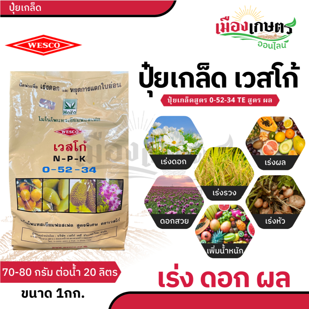 ปุ๋ย ปุ๋ยเกล็ด เวสโก้ ปุ๋ย เกล็ด 6 32 32 20 20 20 21 21 21 20 10 30 TE ขนาด 1 กิโลกรัม ฮอร์โมนพืช เสริมการเจริญเติบโต - รูปที่ 5