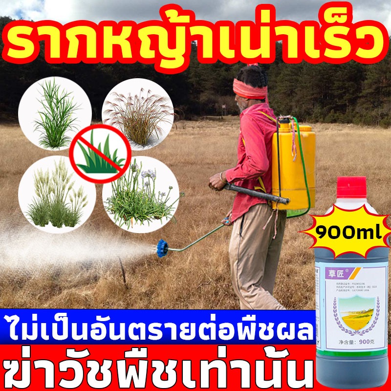 【รากเน่าใน 3 วัน】เข้มข้นมากยาฆ่าหญ้า ยา ฆ่า หญ้า900มล ไม่มีสารเคมีอันตรายไม่เป็นอันตรายต่อพืชผล