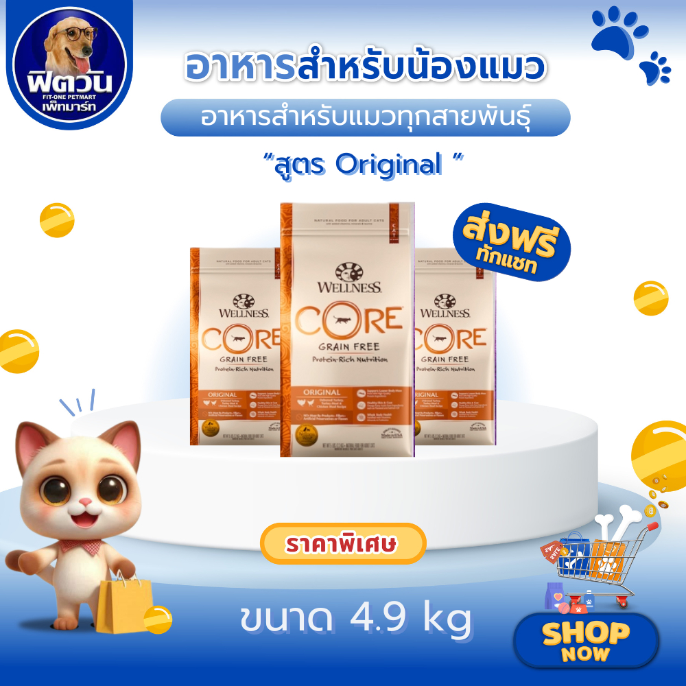 WELLNESS CORE Original อาหารเม็ด สำหรับแมวทุกสายพันธุ์ทุกช่วงวัย สูตรออริจินัลไก่งวงเลาะกระดูก ขนาด 4.9 กก.