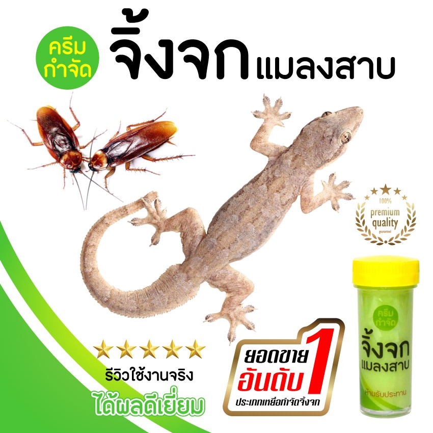 กำจัดจิ้งจก ยาฆ่าจิ้งจก ยาฆ่าแมลงสาบ (จิ้งจก)