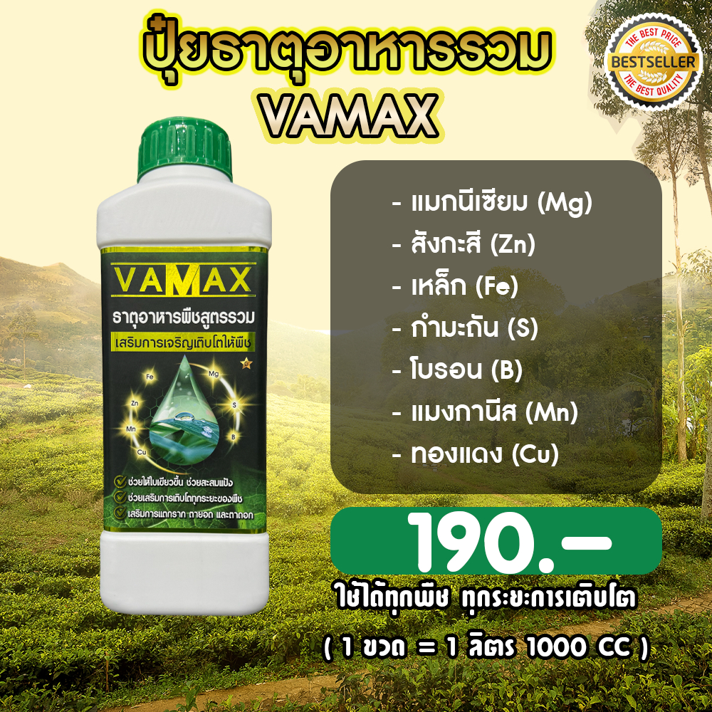 VAMAX ปุ๋ยธาตุอาหารรวม เร่งการเจริญเติบโตของพืชทุกชนิด ใบเขียว แตกยอด แก้ใบซีด แก้ใบด่าง ( V1 )