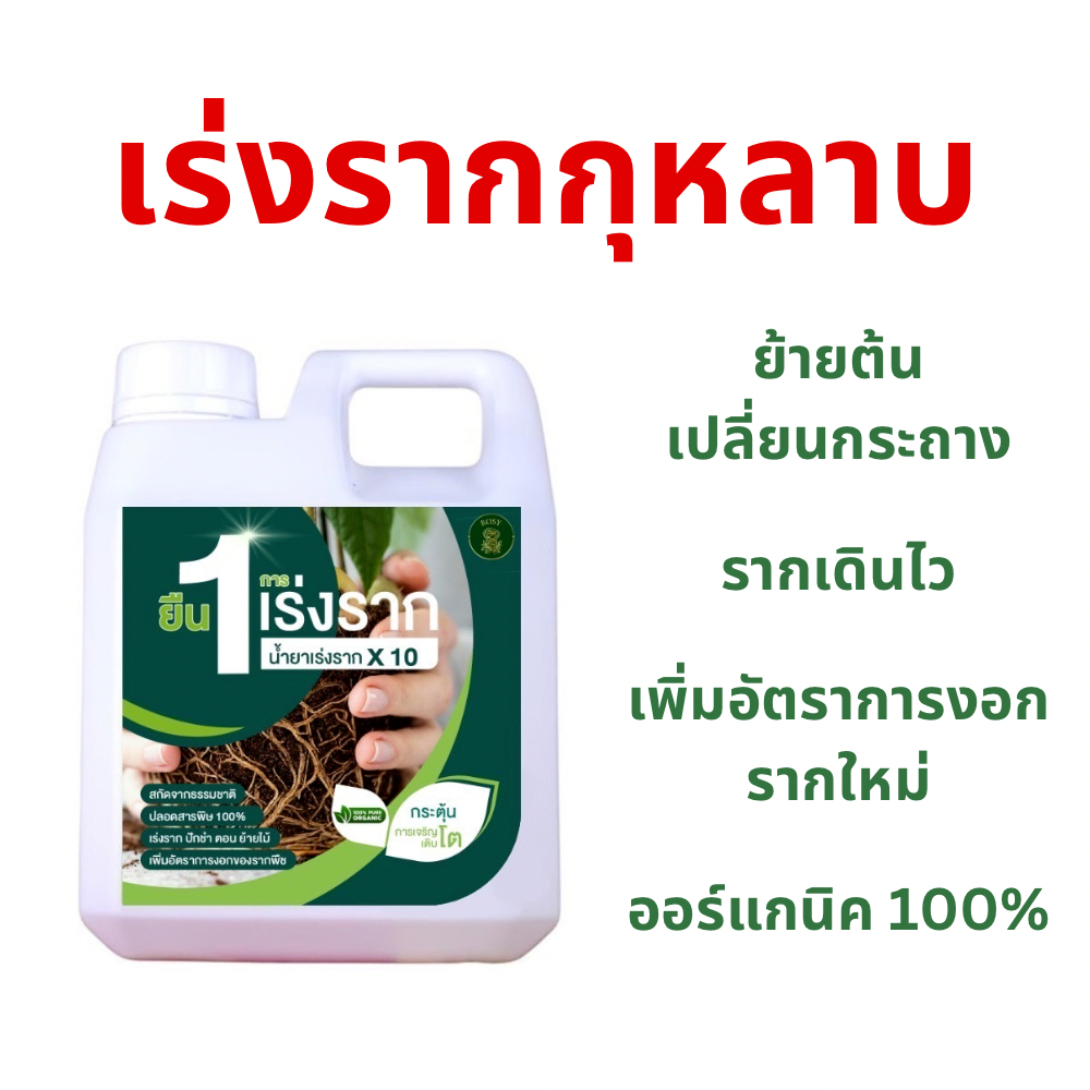 เร่งรากกุหลาบ ใช้ง่าย ไม่ต้องผสม พร้อมใช้ได้ทันที ปลอดภัยเห็นผลไว ดอกใหญ่ สีสวย จัดเต็มทุกกลีบ