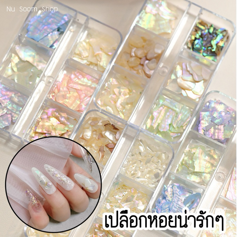 เปลือกหอยติดเล็บ เปลือกหอยญี่ปุ่น อะไหล่ตกแต่งเล็บ